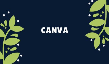 Being contributor of CANVA over 6 months in 2021